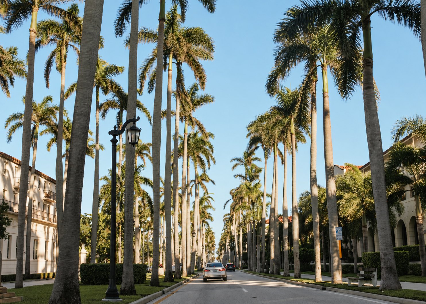 Royal palms lining an avenue in Palm Beach